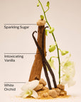 Warm Vanilla Sugar - Travel Size Shower Gel