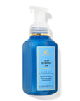 Crisp Morning Air - Foaming Hand Soap