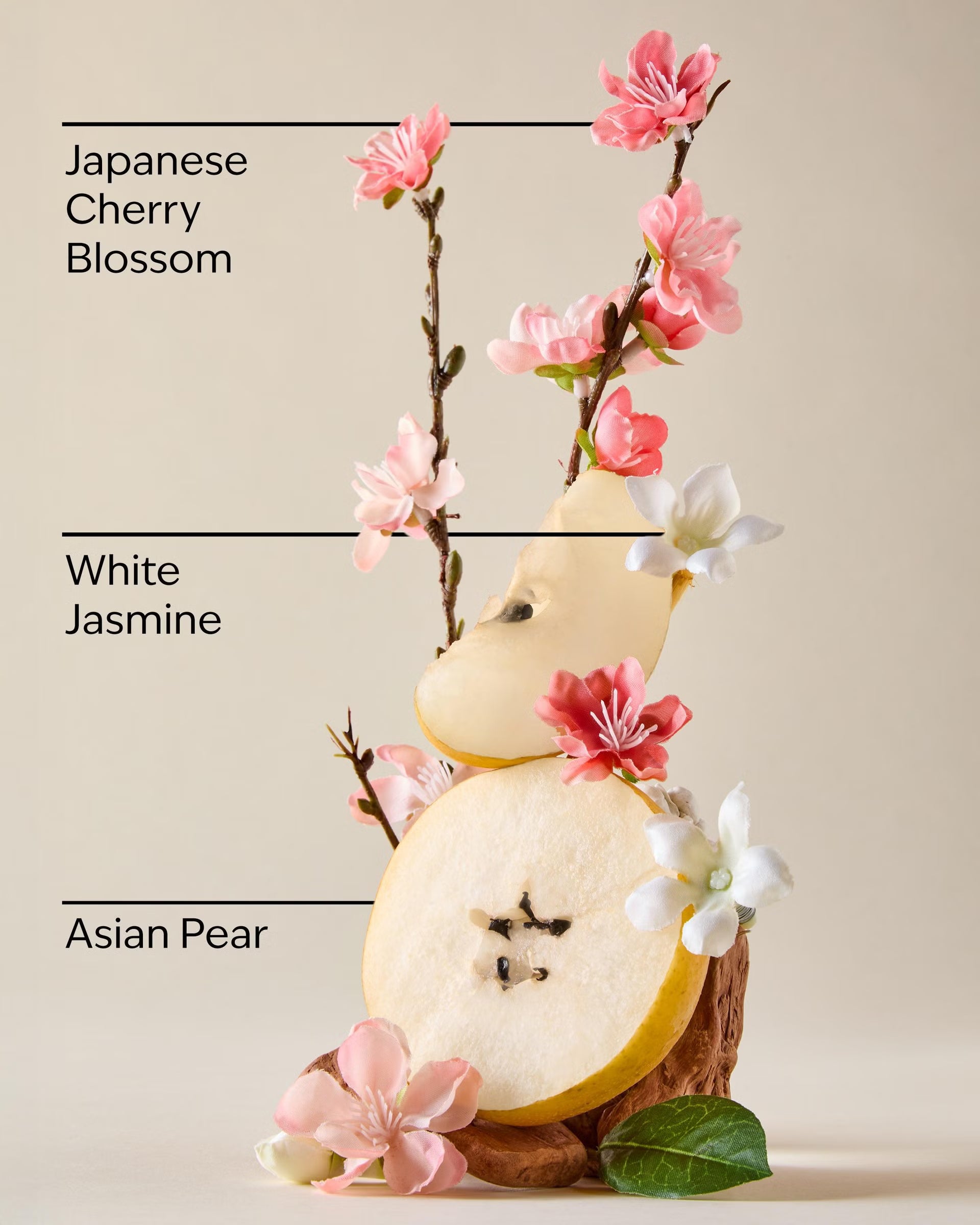 Japanese Cherry Blossom Kit