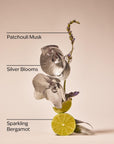 Platinum Kit